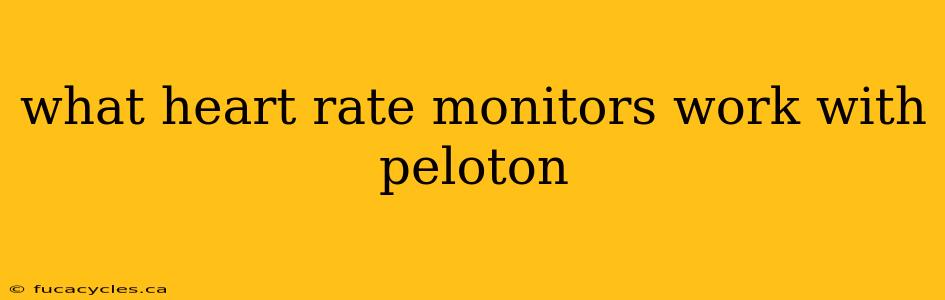 what heart rate monitors work with peloton