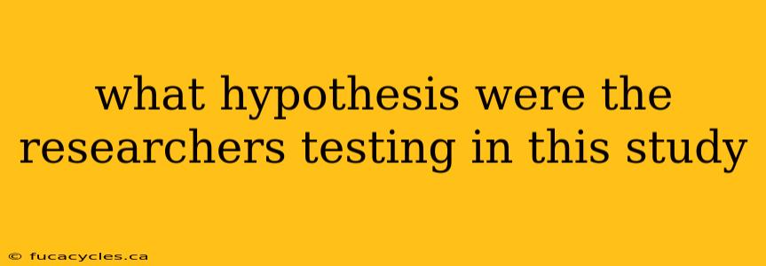 what hypothesis were the researchers testing in this study