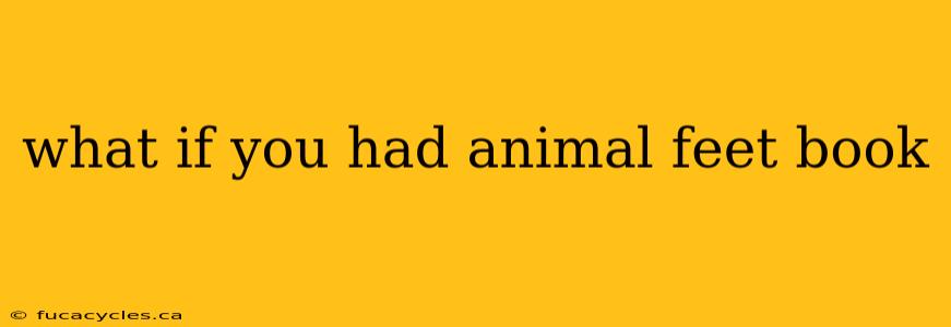 what if you had animal feet book