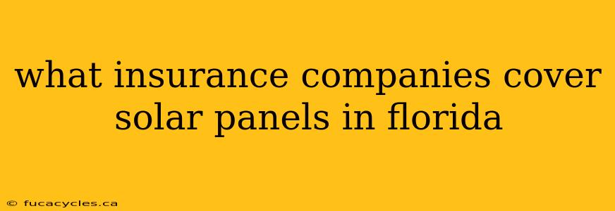 what insurance companies cover solar panels in florida