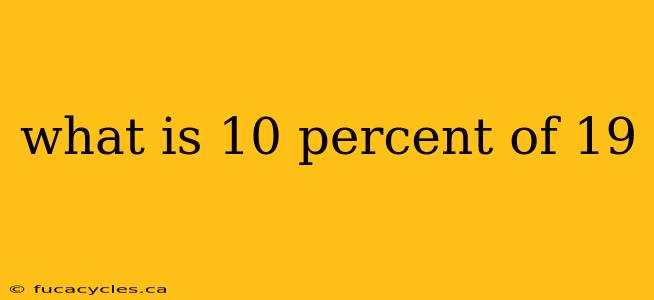 what is 10 percent of 19