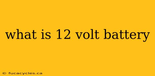 what is 12 volt battery