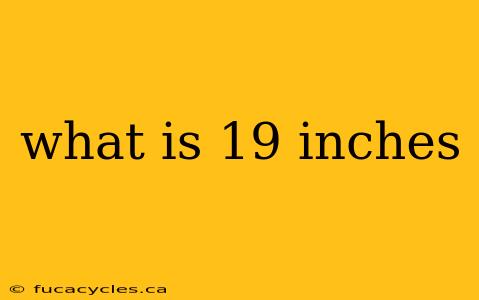 what is 19 inches