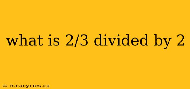 what is 2/3 divided by 2