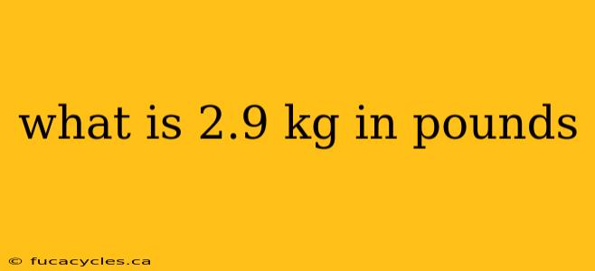 what is 2.9 kg in pounds