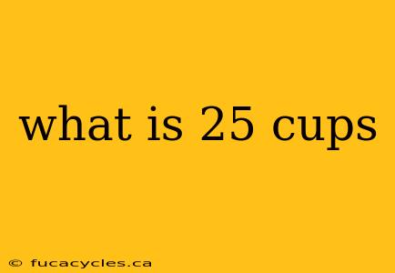 what is 25 cups