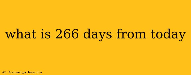 what is 266 days from today