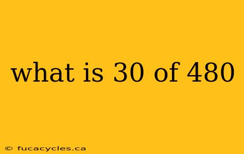 what is 30 of 480