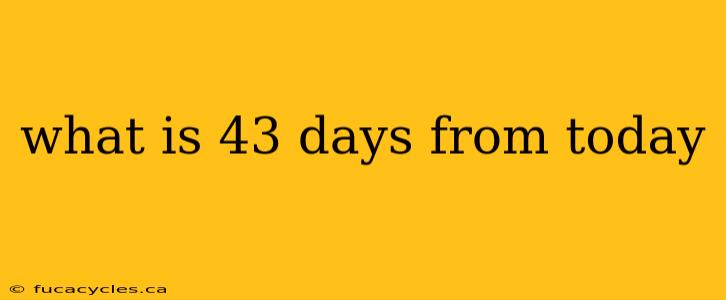 what is 43 days from today