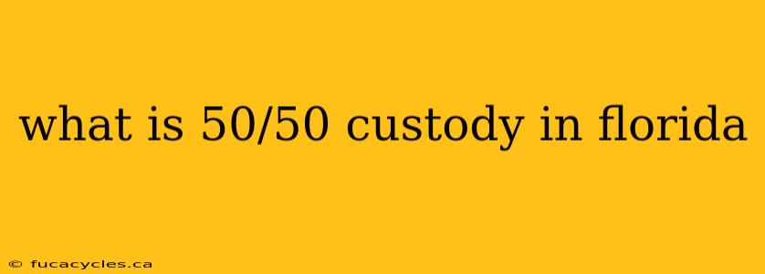 what is 50/50 custody in florida