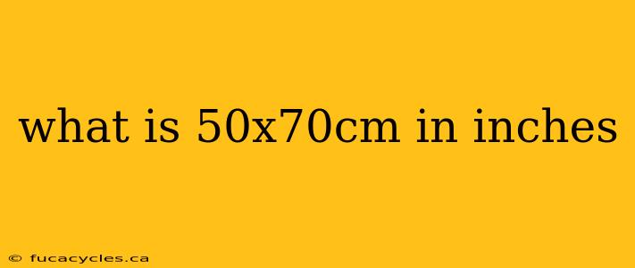 what is 50x70cm in inches