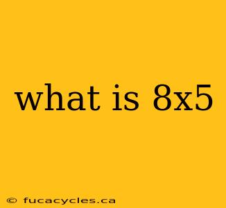 what is 8x5