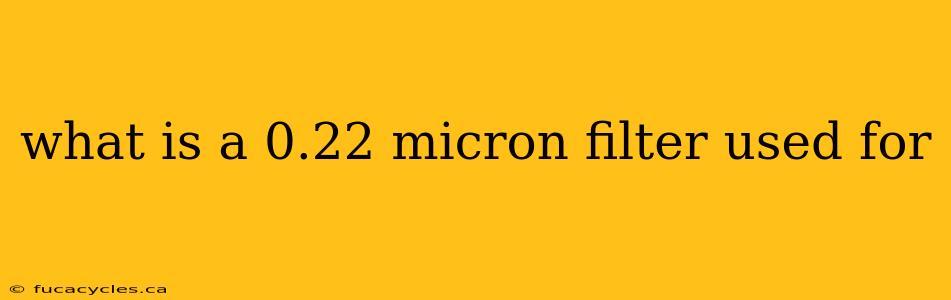 what is a 0.22 micron filter used for