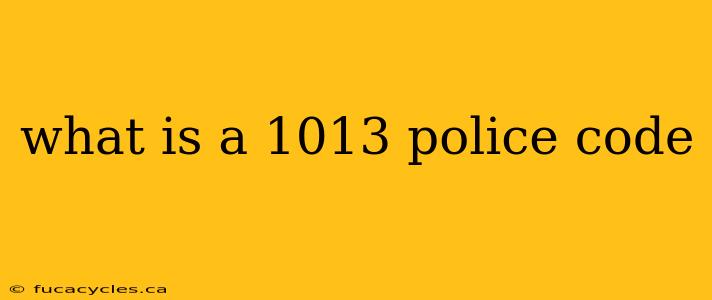 what is a 1013 police code