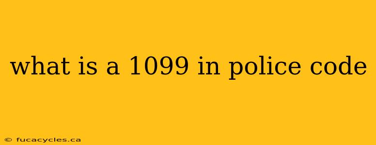 what is a 1099 in police code