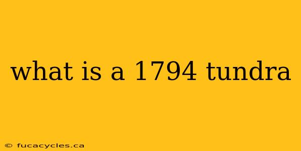 what is a 1794 tundra