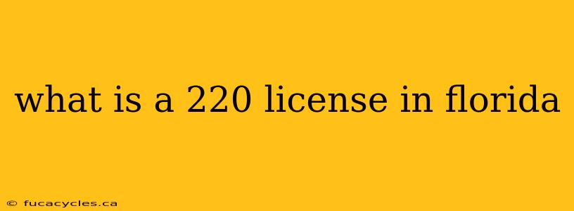 what is a 220 license in florida