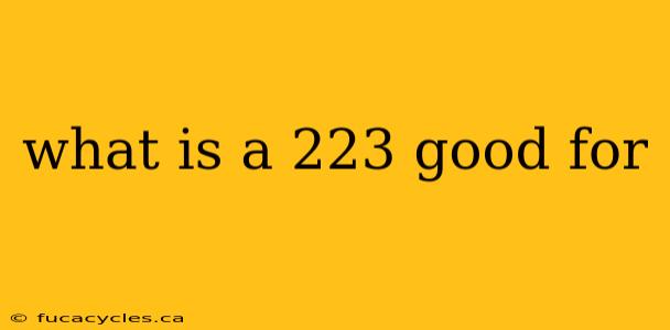 what is a 223 good for