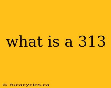 what is a 313