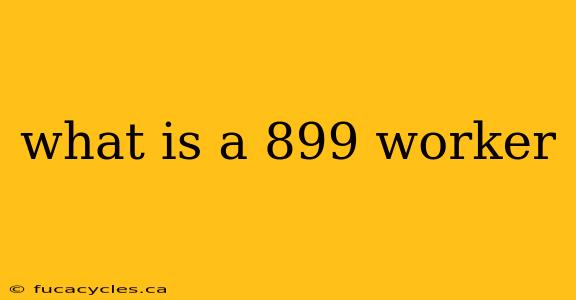 what is a 899 worker