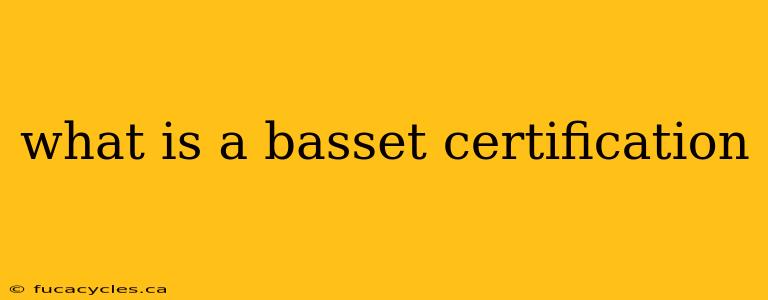 what is a basset certification