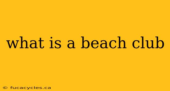 what is a beach club