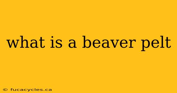 what is a beaver pelt