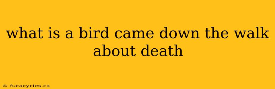 what is a bird came down the walk about death