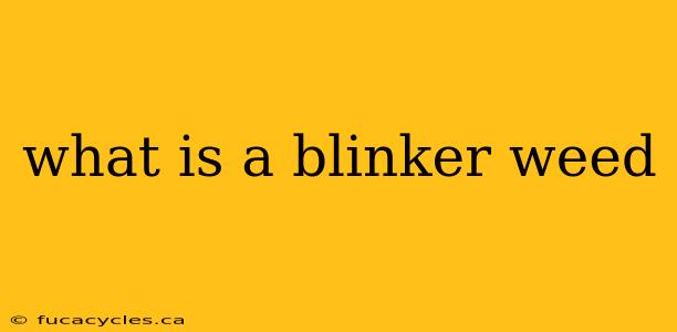 what is a blinker weed