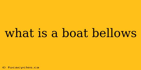 what is a boat bellows