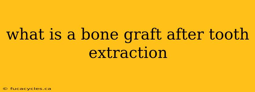 what is a bone graft after tooth extraction