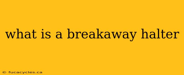 what is a breakaway halter