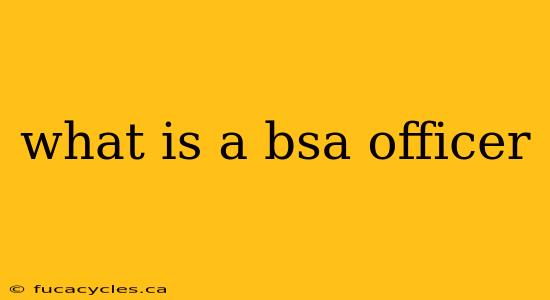 what is a bsa officer