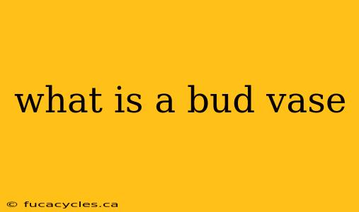 what is a bud vase