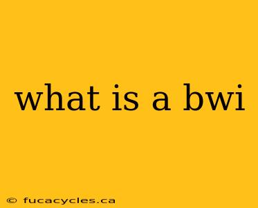 what is a bwi