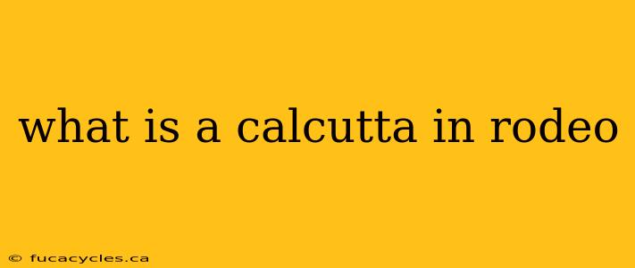 what is a calcutta in rodeo