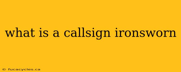 what is a callsign ironsworn