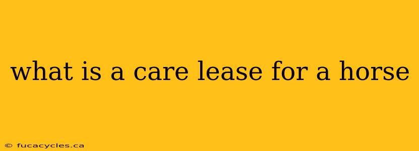 what is a care lease for a horse