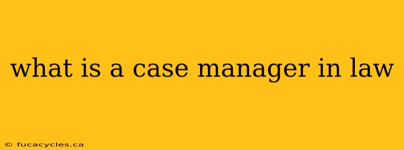 what is a case manager in law