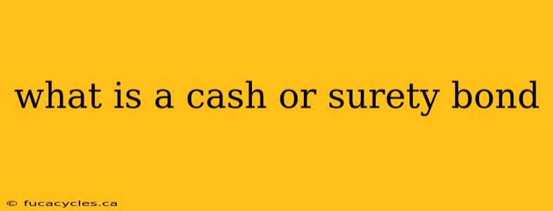 what is a cash or surety bond