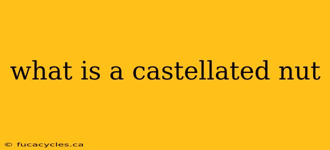 what is a castellated nut