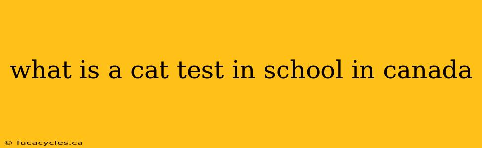 what is a cat test in school in canada