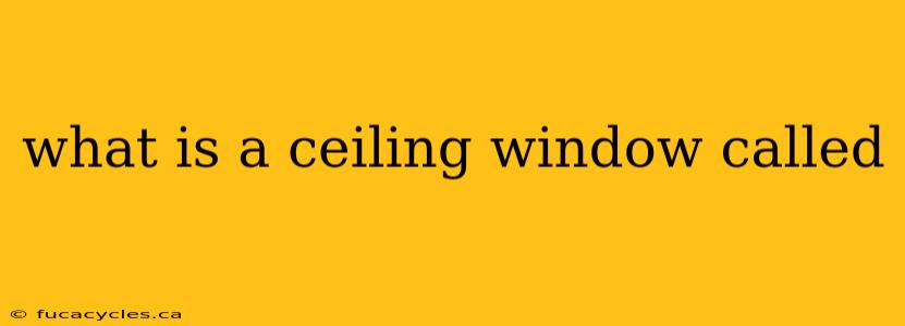 what is a ceiling window called