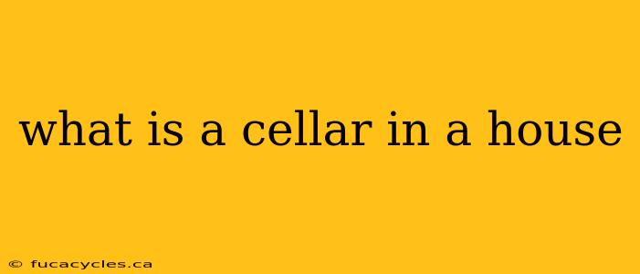 what is a cellar in a house