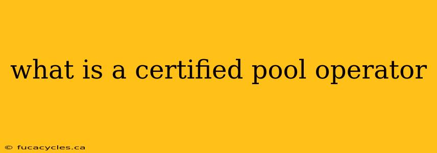 what is a certified pool operator