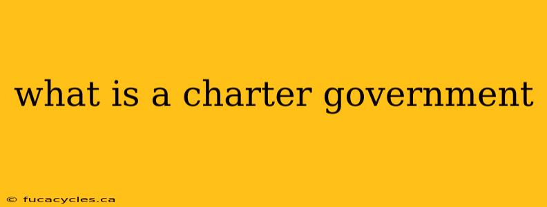 what is a charter government