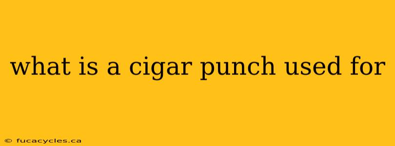 what is a cigar punch used for