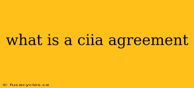 what is a ciia agreement