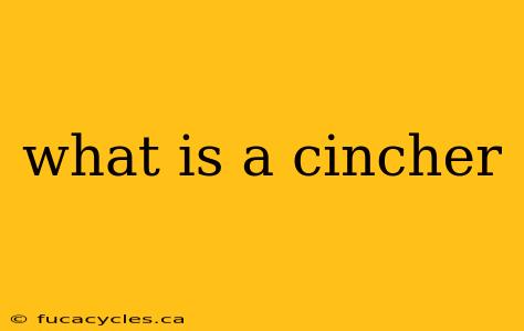 what is a cincher