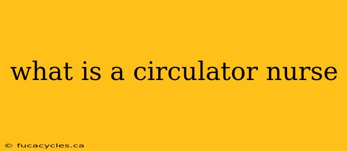 what is a circulator nurse